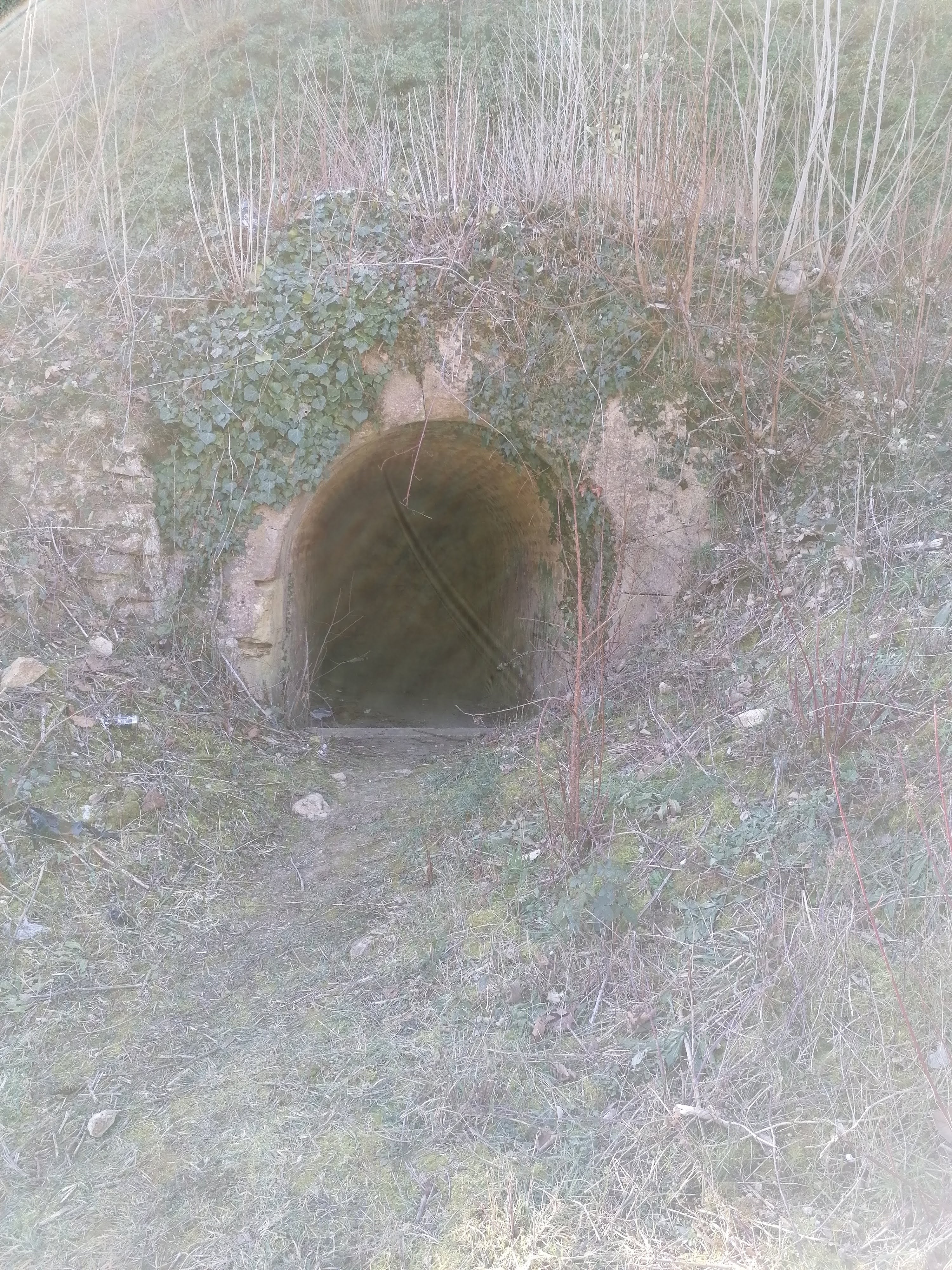 Photo n° 4 de l'avis de olivier. fait le 04/03/2021 à 07:46