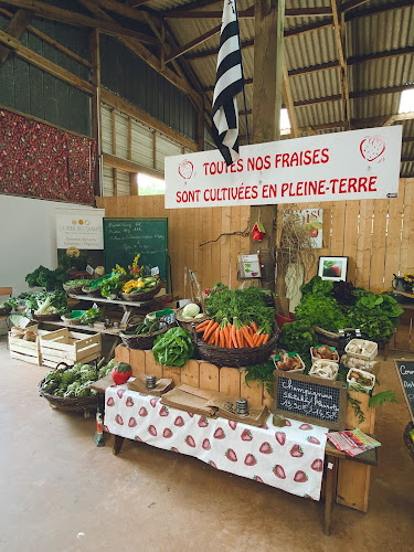 Épicerie Fraises de Ty-Néol - Claude Rolland Loperhet
