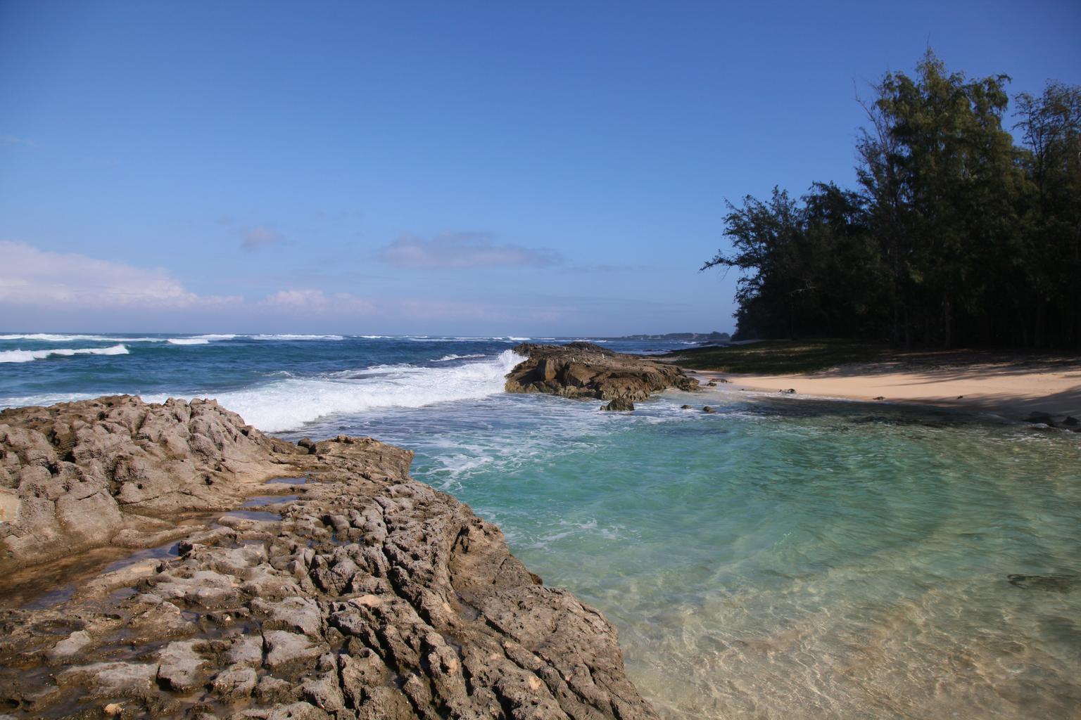 Photo of Kahuku Beach wild area