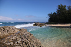 Kahuku Beach'in fotoğrafı vahşi alan