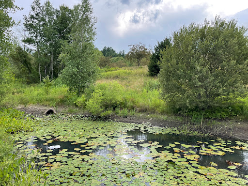 Park «NARA Park», reviews and photos, 25 Ledge Rock Way, Acton, MA 01720, USA