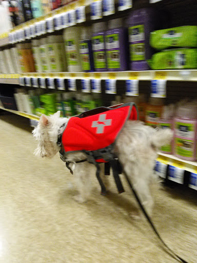 Pet Supply Store «PetSmart», reviews and photos, 1671 E Market St, Harrisonburg, VA 22801, USA