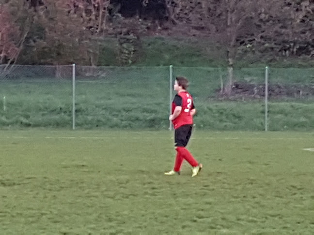 Rezensionen über Sportplatz Schützenrain (FC Entfelden) in Olten - Sportstätte