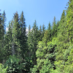 Photo n°2 de l'avis de Djoer. fait le 15/06/2023 à 17:12 sur le  Reinertonishof à Schönwald im Schwarzwald