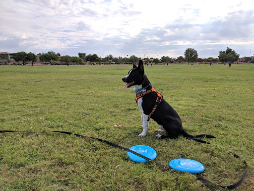 Park «Turtle Rock Park», reviews and photos, 17414 N 12th St, Phoenix, AZ 85022, USA