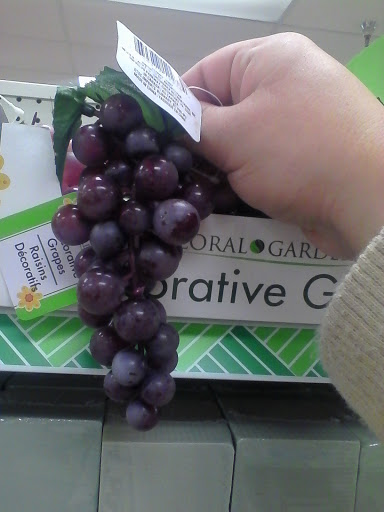 Dollar Store «Dollar Tree», reviews and photos, 1801 Alexandria Dr #124, Lexington, KY 40504, USA