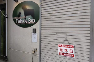 Animal Lounge Cafe Twinkle Box image