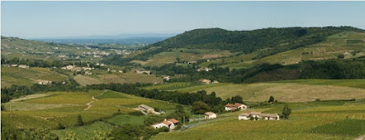 Domaine Le Bourlay à Vauxrenard
