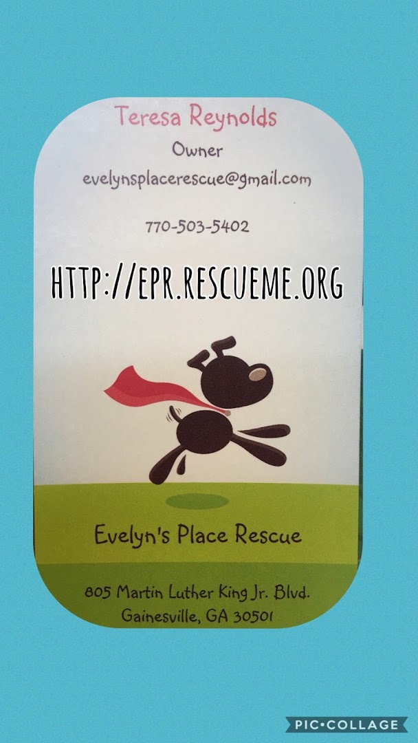 Evelyn’s Place Rescue