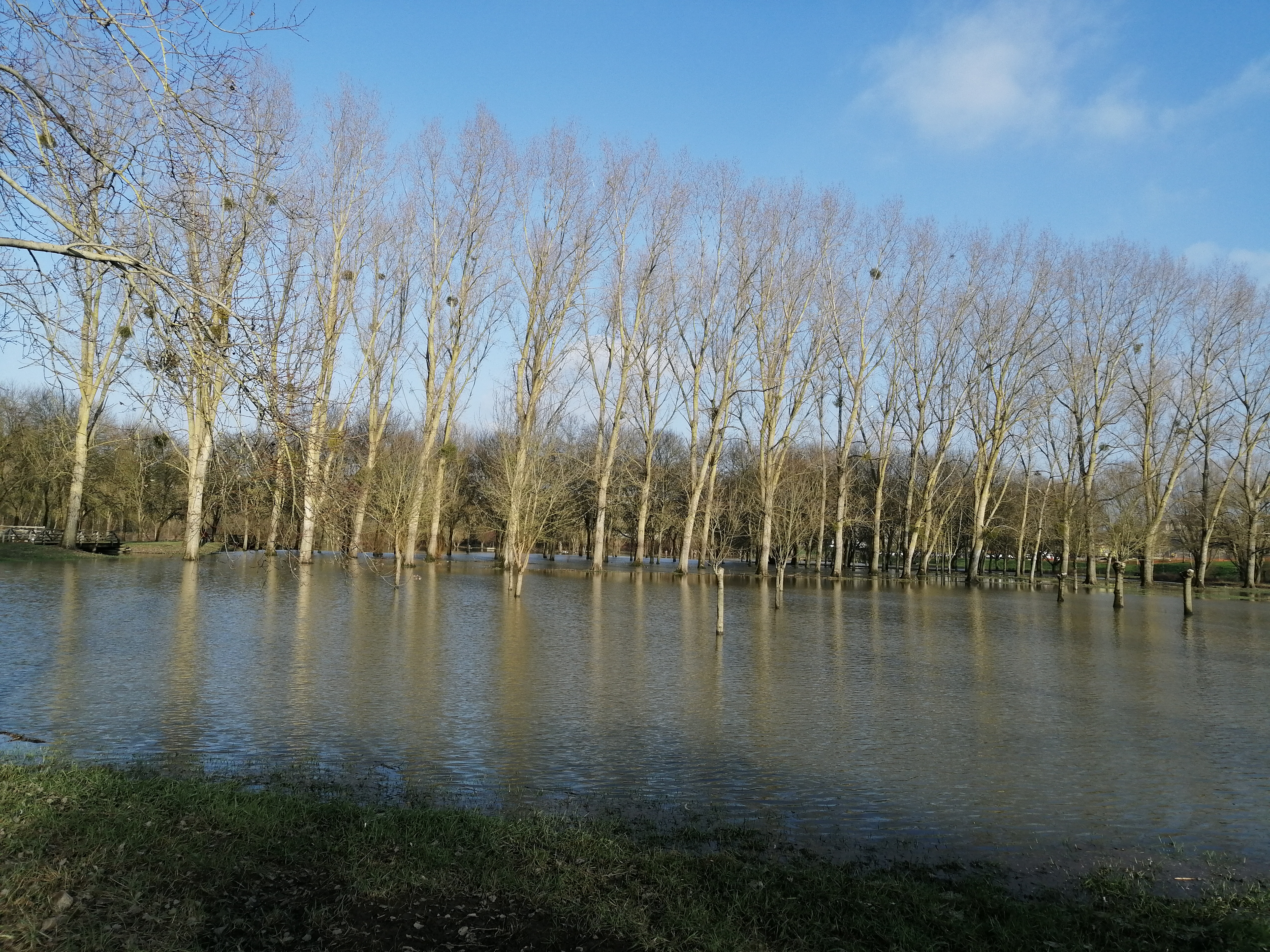 Photo n° 1 de l'avis de Cloé.e fait le 24/01/2023 à 18:37