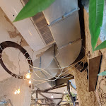 Photo n°6 de l'avis de Kia.u fait le 05/11/2023 à 15:10 sur le  Ristorante Slurp! à Turin