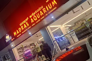 Madras Aquarium image