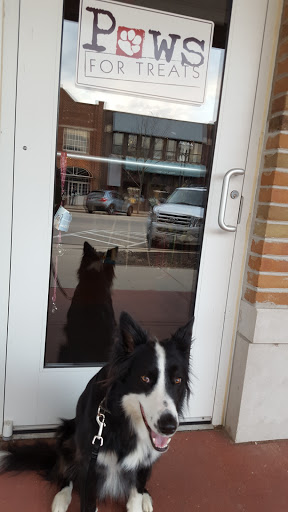 Pet Supply Store «Paws For Treats», reviews and photos, 851 W Main St, Lake Geneva, WI 53147, USA