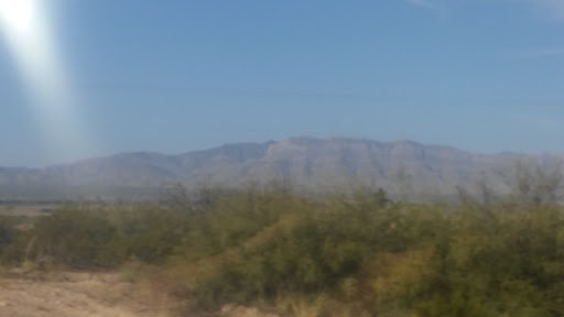 Florist «Bow Wood Florist & Gifts», reviews and photos, 100 N McGraw St, Forney, TX 75126, USA