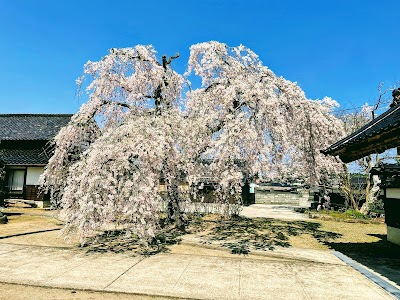 本住寺