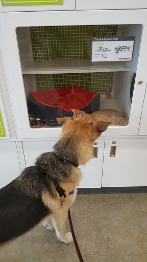 Pet Supply Store «Petco Animal Supplies», reviews and photos, 5850 Sepulveda Blvd, Van Nuys, CA 91411, USA