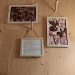 Photo n°3 de l'avis de Amelia.u fait le 27/10/2022 à 20:29 sur le  Raphael Hotel Wälderhaus à Hamburg