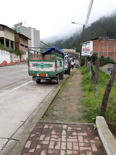 Opiniones de Empresa de Transporte de Carga Liviana TIRRONSSA S.A en Piñas - Servicio de transporte