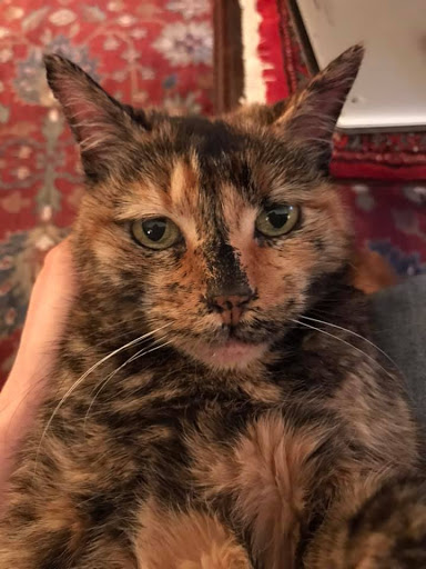 359 Worcester St, Natick, MA 01760, USA