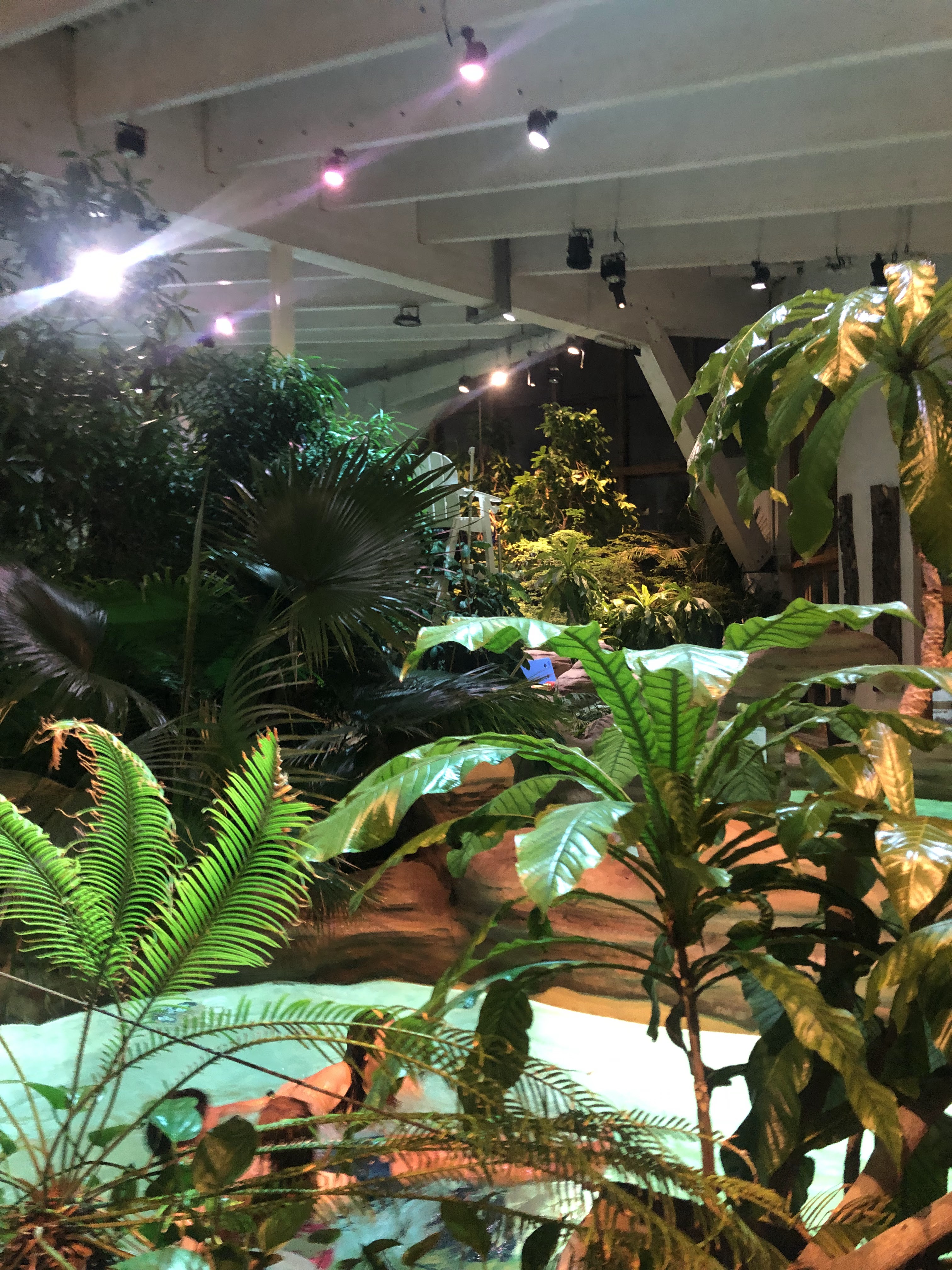 Photo n° 8 de l'avis de Nicolas.u fait le 17/01/2019 à 19:02