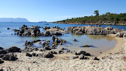 Photo de Spiaggia Punta Pedrosa zone sauvage