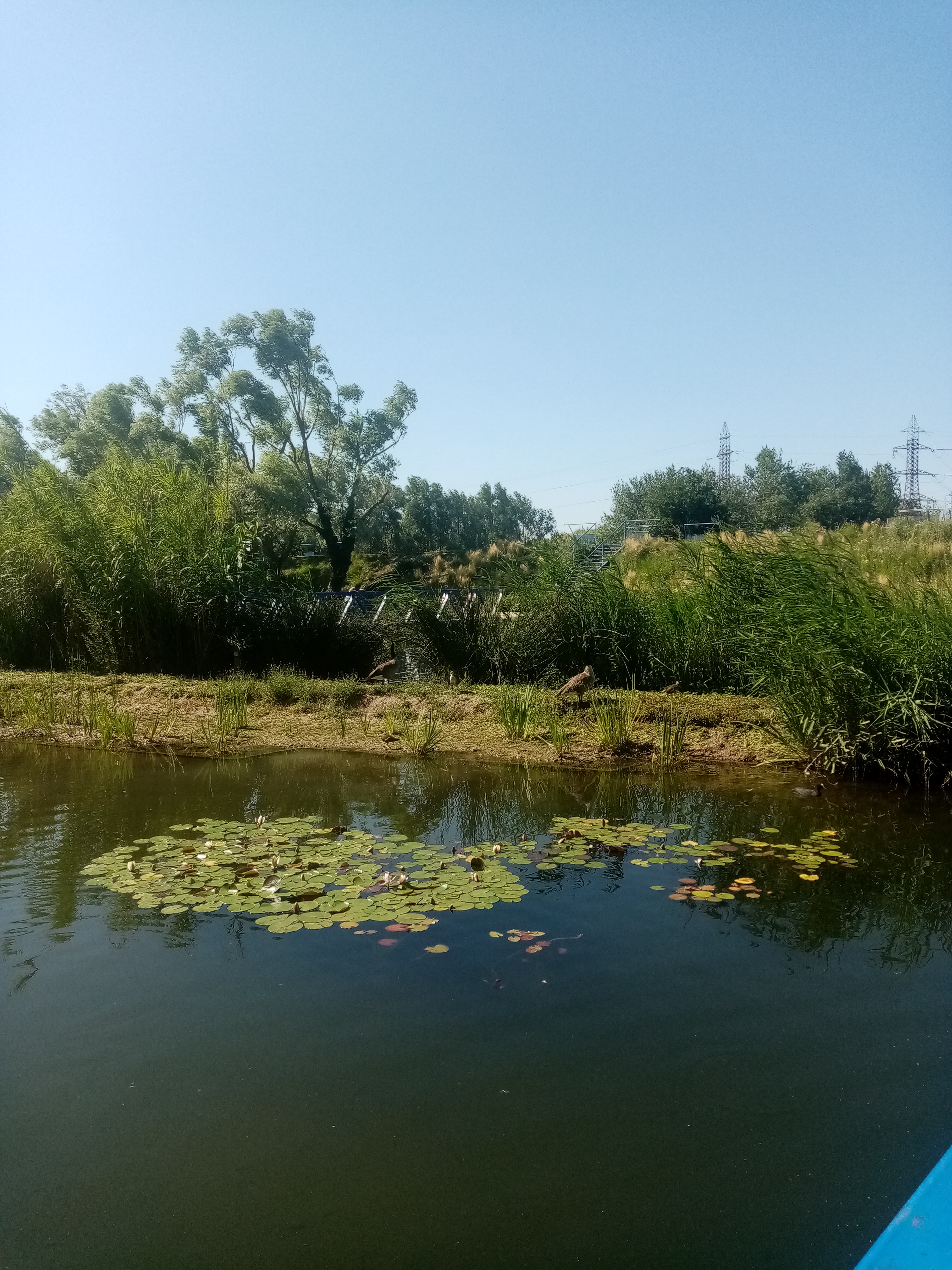 Photo n° 1 de l'avis de Sabrina.o fait le 19/07/2021 à 15:40