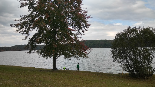 Government Office «Sweetwater Creek State Park», reviews and photos, 1750 Mt Vernon Rd, Lithia Springs, GA 30122, USA