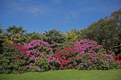 Jardin botanique du château de Vauville à La Hague
