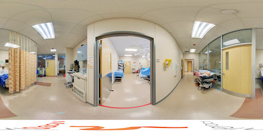 Community College «Angelina College», reviews and photos