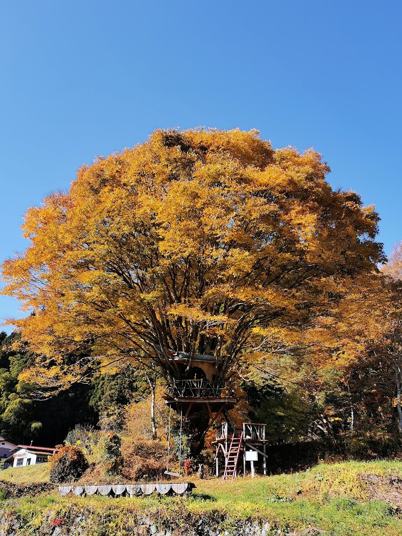 東北ツリーハウス観光協会5号ツリーハウス Treehouse