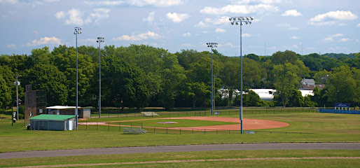 Losurdo Field