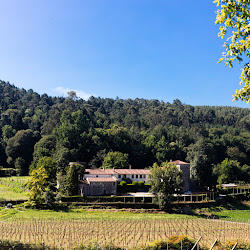 Quinta de Pindela - Natureza e Tradicao