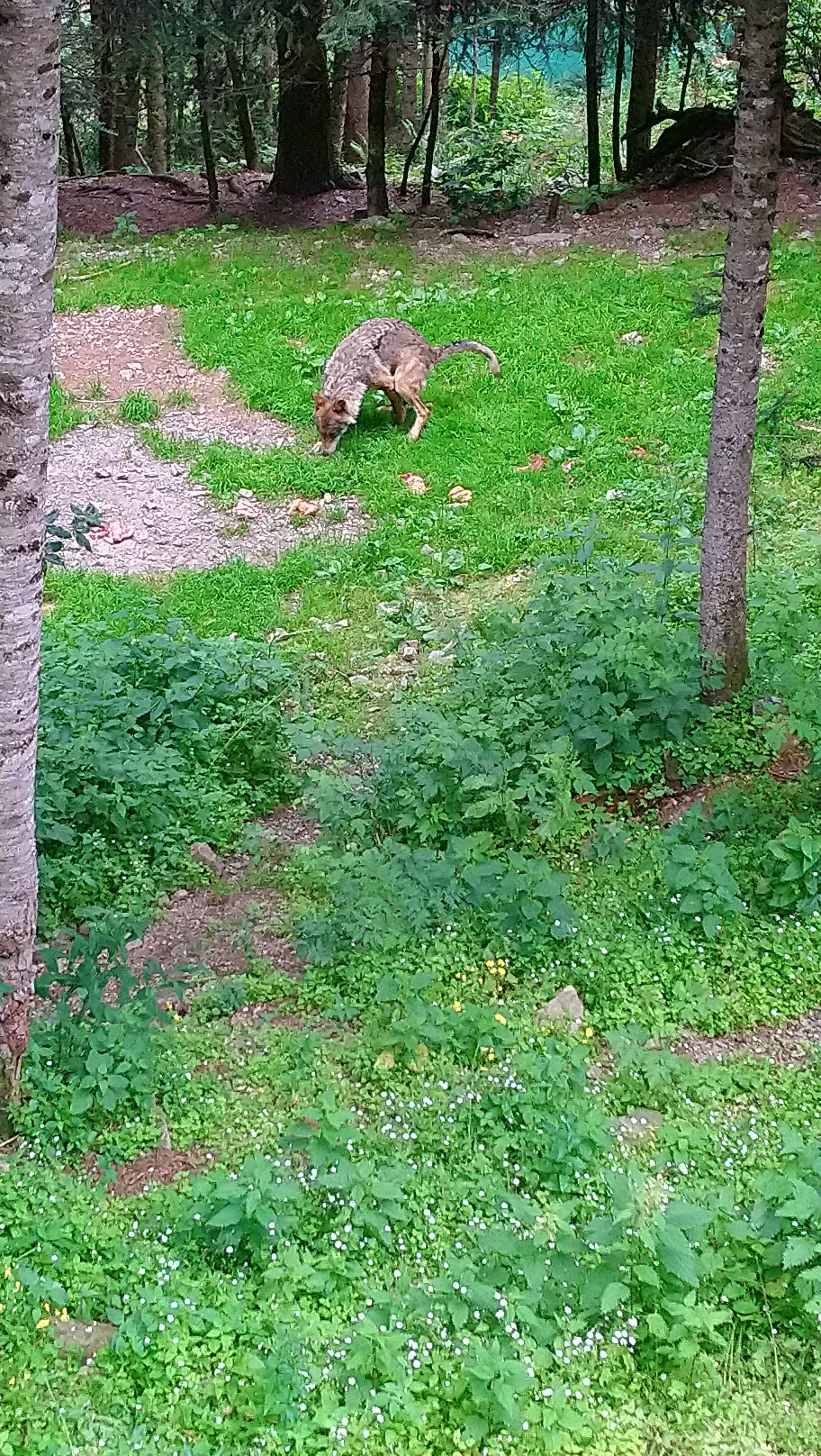 Photo n° 9 de l'avis de CHRISTOPHE. fait le 02/08/2019 à 07:51