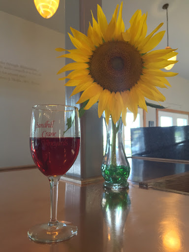 Vineyard «Sandhill Crane Vineyards», reviews and photos, 4724 Walz Rd, Jackson, MI 49201, USA