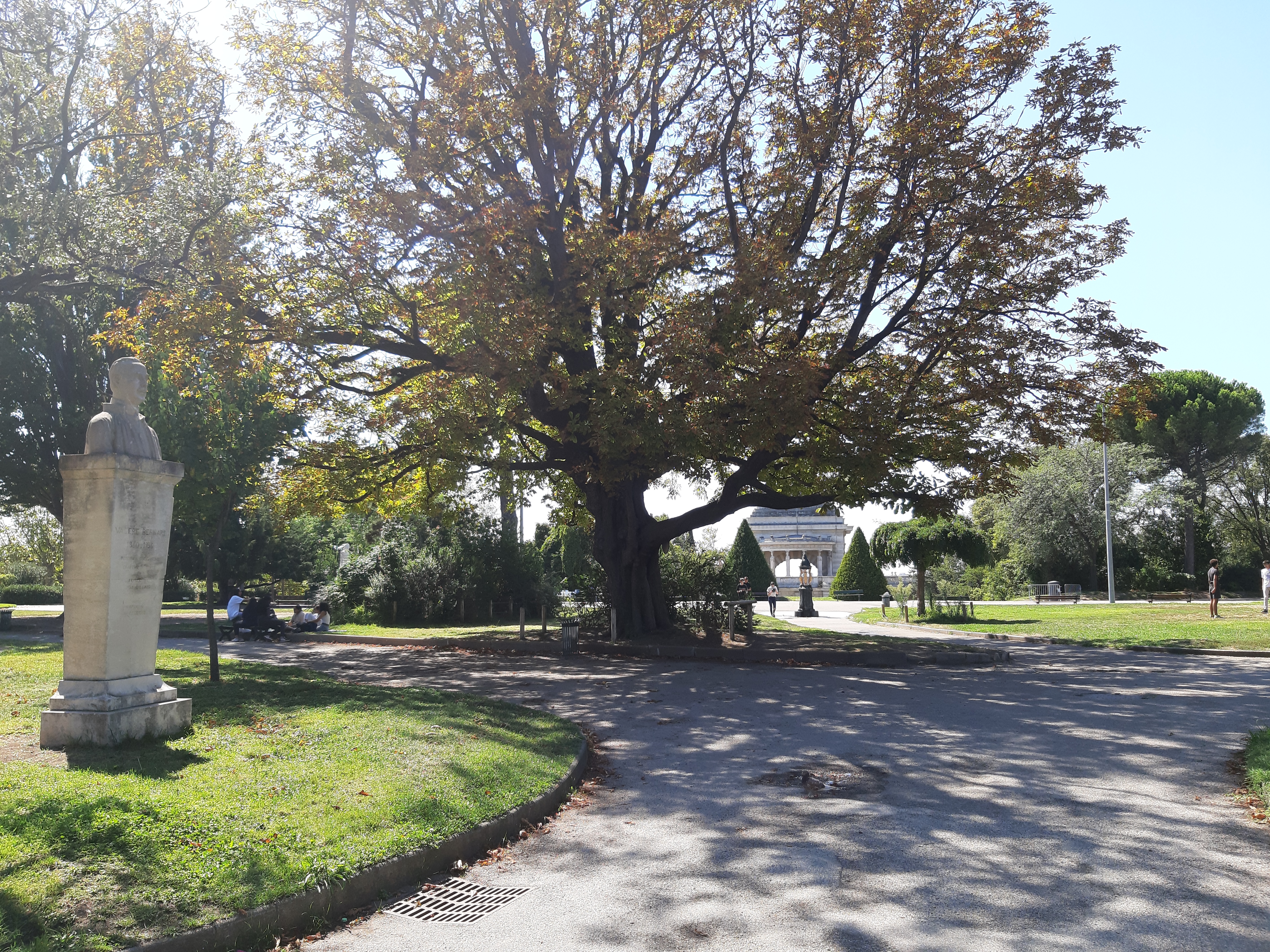 Photo n° 30 de l'avis de Marie.e fait le 06/09/2020 à 18:47