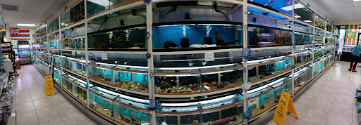 Pet Store «Animal Ark Pet Stores», reviews and photos, 33 Center St, Orem, UT 84057, USA