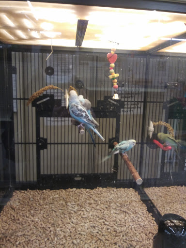 Pet Supply Store «PetSmart», reviews and photos, 1700 Fruitville Pike, Lancaster, PA 17601, USA