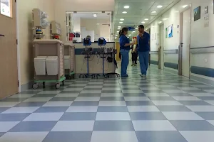 Haykel Hospital image