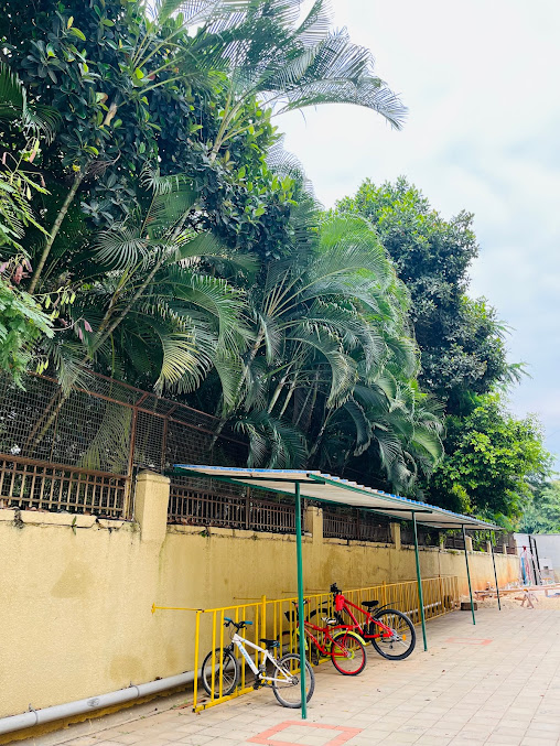 Google Maps image 13