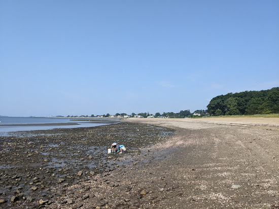 Sherwood Beach