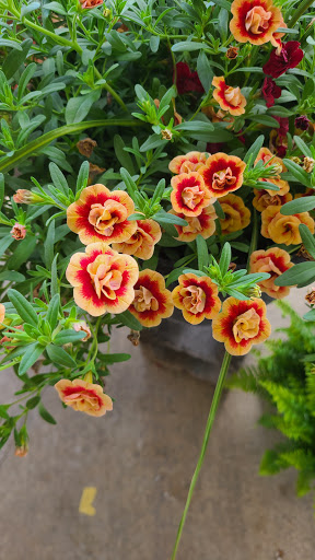 Produce Market «Miller Farms», reviews and photos, 10140 Piscataway Rd, Clinton, MD 20735, USA