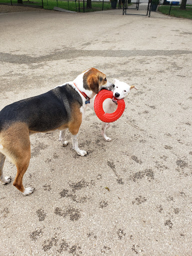 Dog Park «Norwood Park Dog Friendly Area», reviews and photos, 5850 N Avondale Ave, Chicago, IL 60631, USA