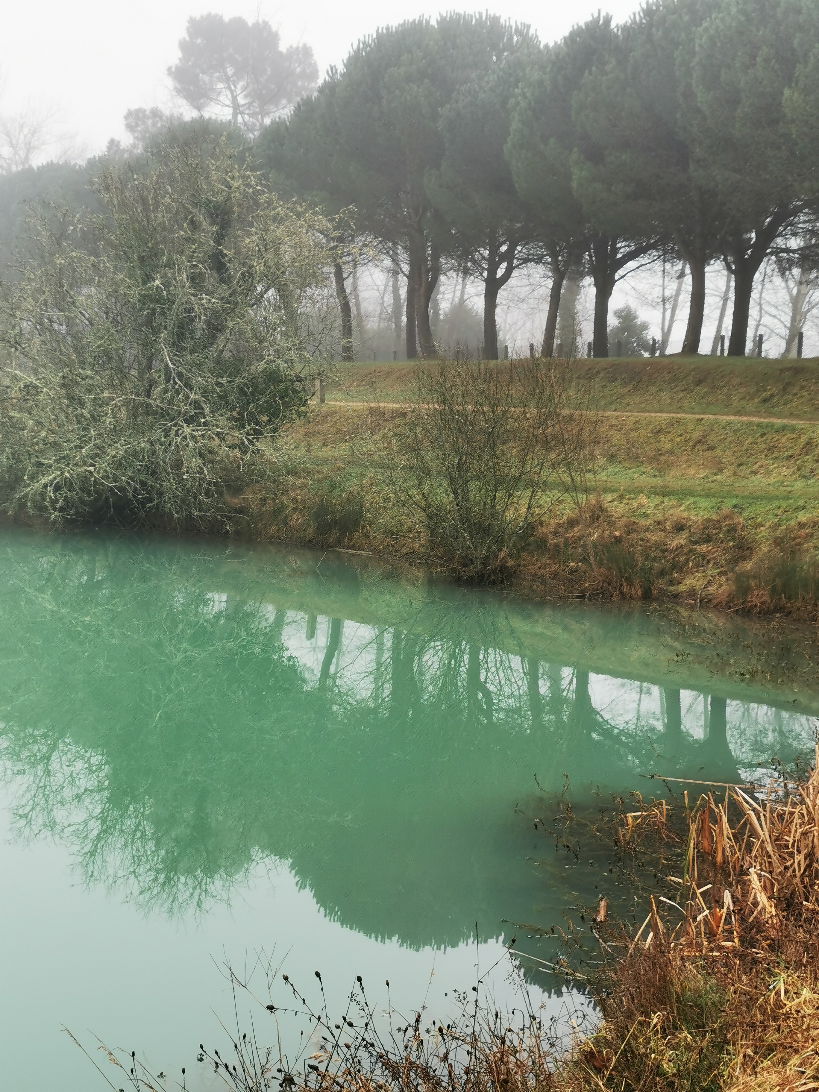 Photo n° 1 de l'avis de Celine.c fait le 28/01/2022 à 14:45
