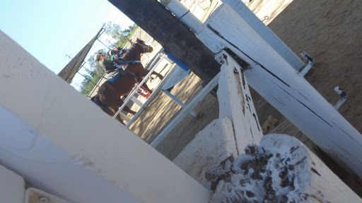 Pony Time at Lakewood Equestrian Center image