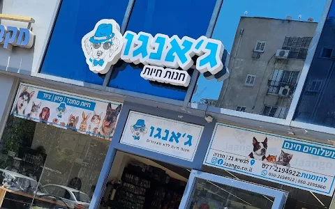 ג'אנגו- חנות חיות image