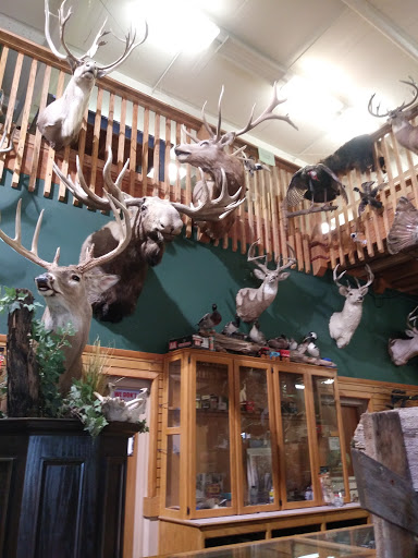 Sporting Goods Store «Tackle Box», reviews and photos, 3001 Zero St, Fort Smith, AR 72901, USA