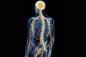 Advanced Neuroscience Clinic image