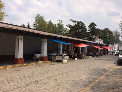 Barbacoa y tlacoyos Labastida