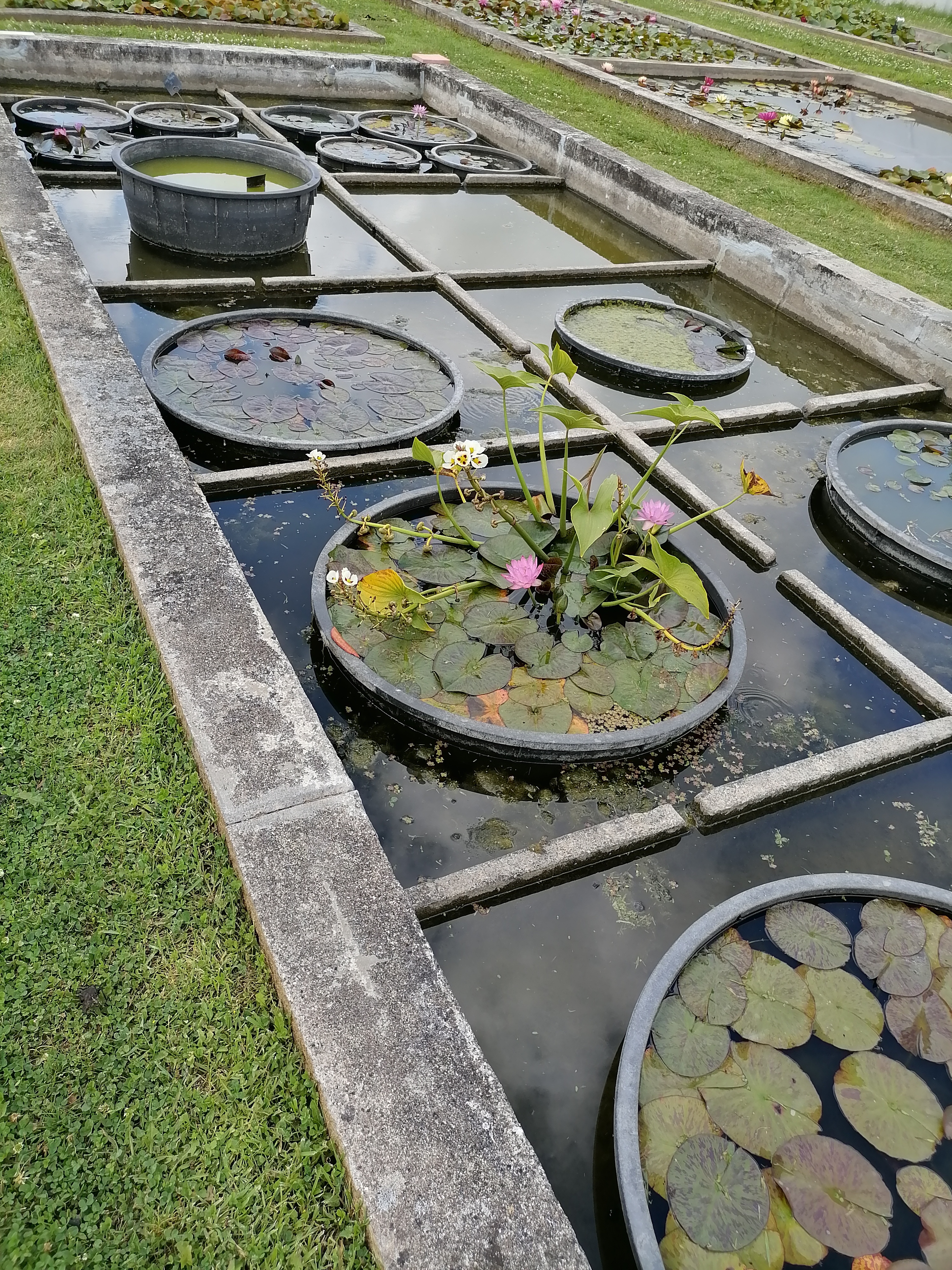 Photo n° 7 de l'avis de Isabelle.o fait le 15/07/2021 à 16:36