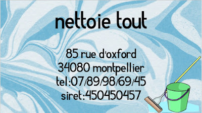 Nettoie tout à Montpellier